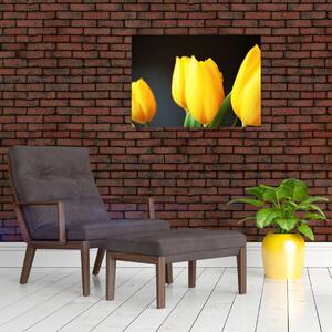 Obraz tulipánů (70x50 cm)
