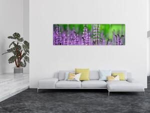 Obraz fialového lučního kvítí (170x50 cm)