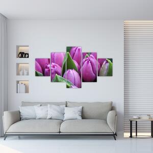 Obraz - květy tulipánů (125x70 cm)