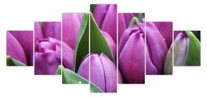 Obraz - květy tulipánů (210x100 cm)