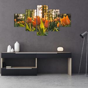 Obraz - květy tulipánů (125x70 cm)