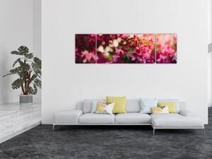 Obraz kvetů rokvitnutého keře (170x50 cm)