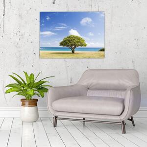 Obraz pláže se stromem (70x50 cm)