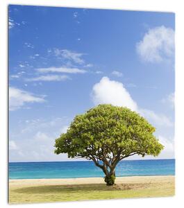 Obraz pláže se stromem (30x30 cm)