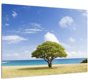 Obraz pláže se stromem (70x50 cm)