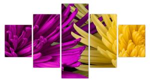 Obraz - detail květů (125x70 cm)