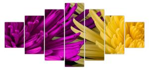 Obraz - detail květů (210x100 cm)