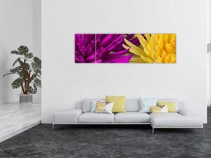 Obraz - detail květů (170x50 cm)