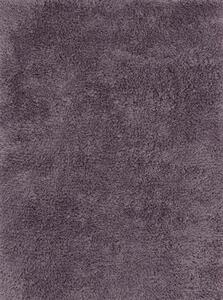 AYYILDIZ TEPPICHE Kusový koberec SPRING LILA BARVA: Fialová, ROZMĚR: 120x170 cm