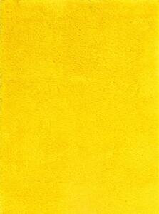 AYYILDIZ TEPPICHE Kusový koberec SPRING YELLOW BARVA: Žlutá, ROZMĚR: 80x150 cm