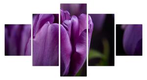 Obraz květů tulipánů (125x70 cm)