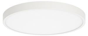 ITALUX PLF-75689-WH-3K Riberio stropní svítidlo LED D280mm 30W/2700lm 3000K bílá