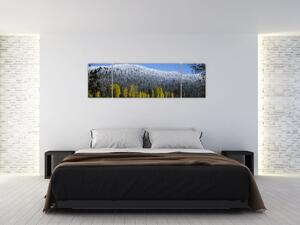 Obraz - zasněžené hory v zimě (170x50 cm)