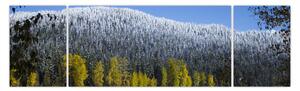 Obraz - zasněžené hory v zimě (170x50 cm)