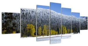 Obraz - zasněžené hory v zimě (210x100 cm)