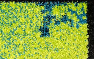 Kusový koberec ZODIAC 20/EG5B BARVA: Vícebarevný, ROZMĚR: 100x150 cm