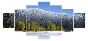 Obraz - zasněžené hory v zimě (210x100 cm)