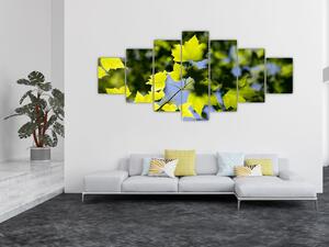 Obraz - javorové listy (210x100 cm)