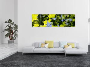 Obraz - javorové listy (170x50 cm)