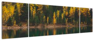 Obraz lesního jezera (170x50 cm)