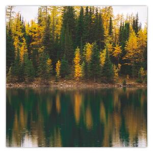 Obraz lesního jezera (30x30 cm)