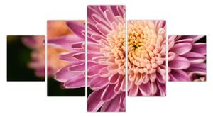 Detailní obraz květu (125x70 cm)