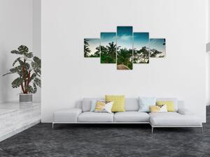 Obraz - palmy (125x70 cm)