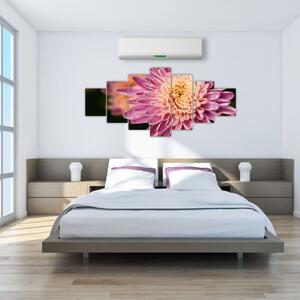 Detailní obraz květu (210x100 cm)