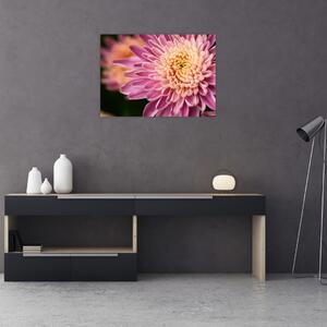 Detailní obraz květu (70x50 cm)
