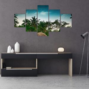 Obraz - palmy (125x70 cm)