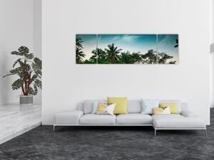 Obraz - palmy (170x50 cm)