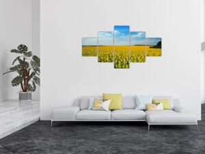 Obraz - lán slunečnic (125x70 cm)