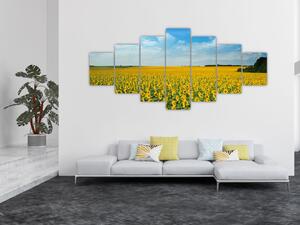 Obraz - lán slunečnic (210x100 cm)