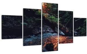 Obraz horské říčky (125x70 cm)