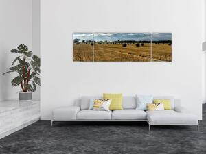 Obraz sklizeného obilného pole (170x50 cm)