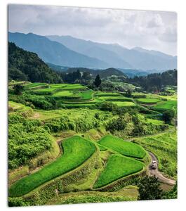 Obraz rýžových polí (30x30 cm)