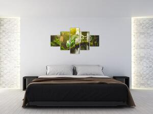 Obraz chameleona (125x70 cm)