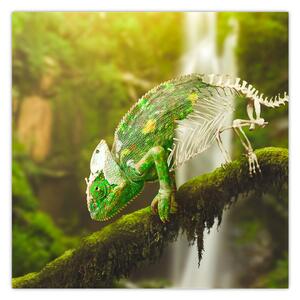 Obraz chameleona (30x30 cm)