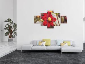 Obraz květiny (125x70 cm)