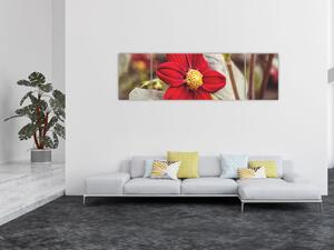 Obraz květiny (170x50 cm)