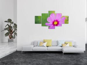 Obraz - luční květina (125x70 cm)