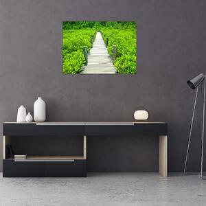 Obraz - dřevěný chodník (70x50 cm)