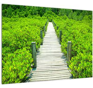Obraz - dřevěný chodník (70x50 cm)