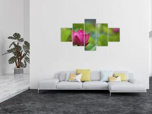 Obraz - vodní rostlina (125x70 cm)