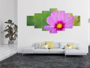 Obraz - luční květina (210x100 cm)