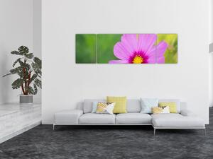 Obraz - luční květina (170x50 cm)