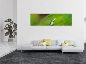 Obraz ještěrky (170x50 cm)