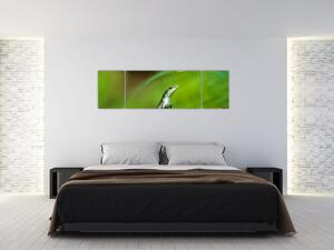 Obraz ještěrky (170x50 cm)