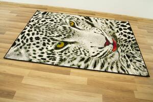Makro Abra Kusový koberec Rainbow 11122/190 leopard šedý Rozměr: 133x190 cm