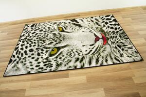 Makro Abra Kusový koberec Rainbow 11122/190 leopard šedý Rozměr: 133x190 cm